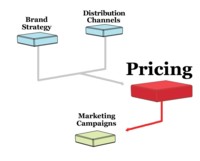 Pricing strategy Pricing strategy