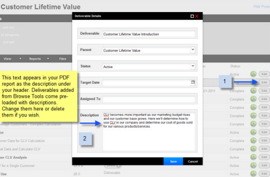 Editing Marketing Report Descriptions