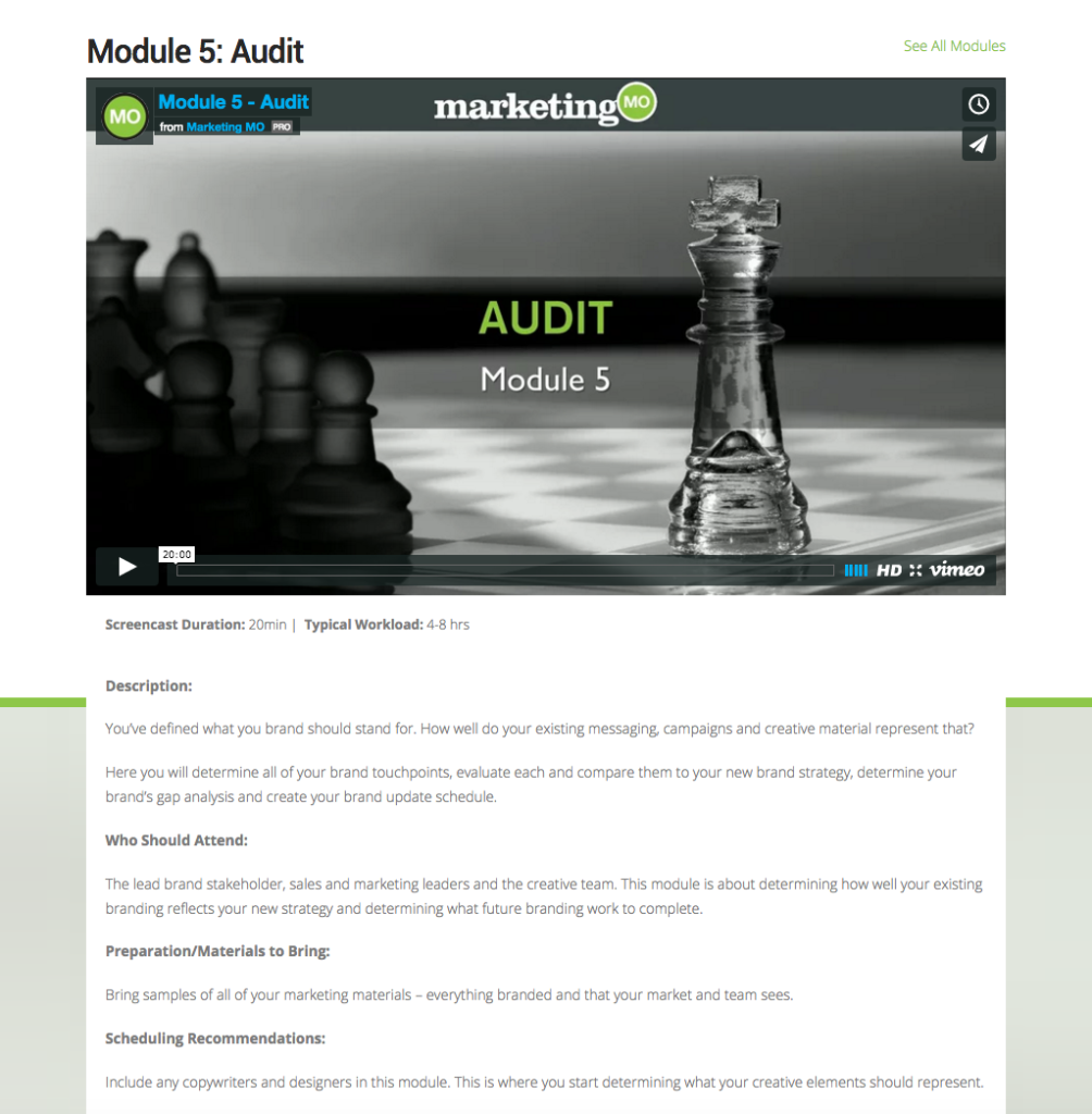 Strategic Marketing Course - Module 5 - Audit - Details
